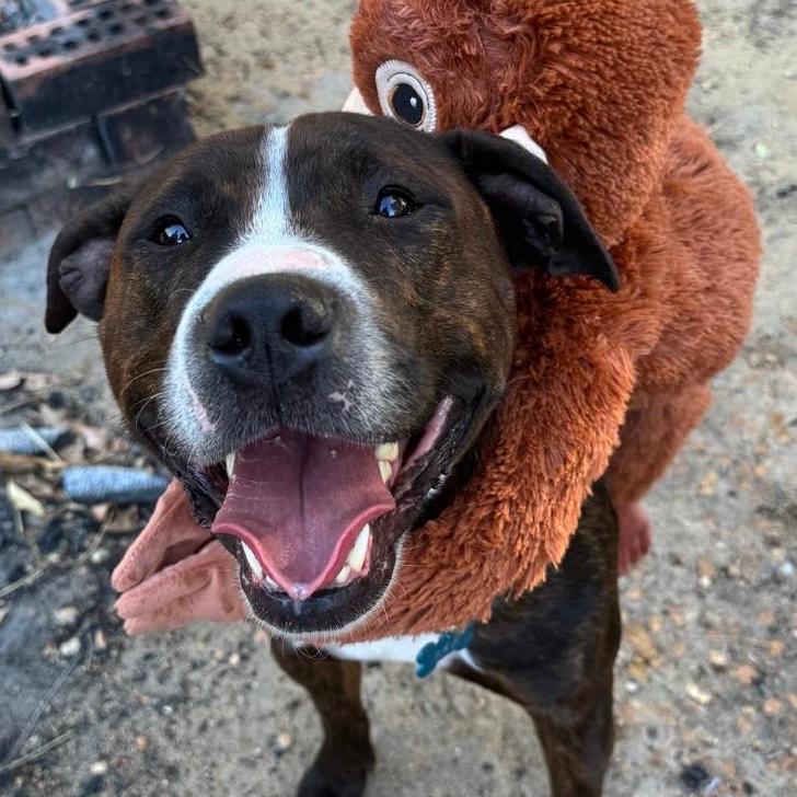 Logo Photo
