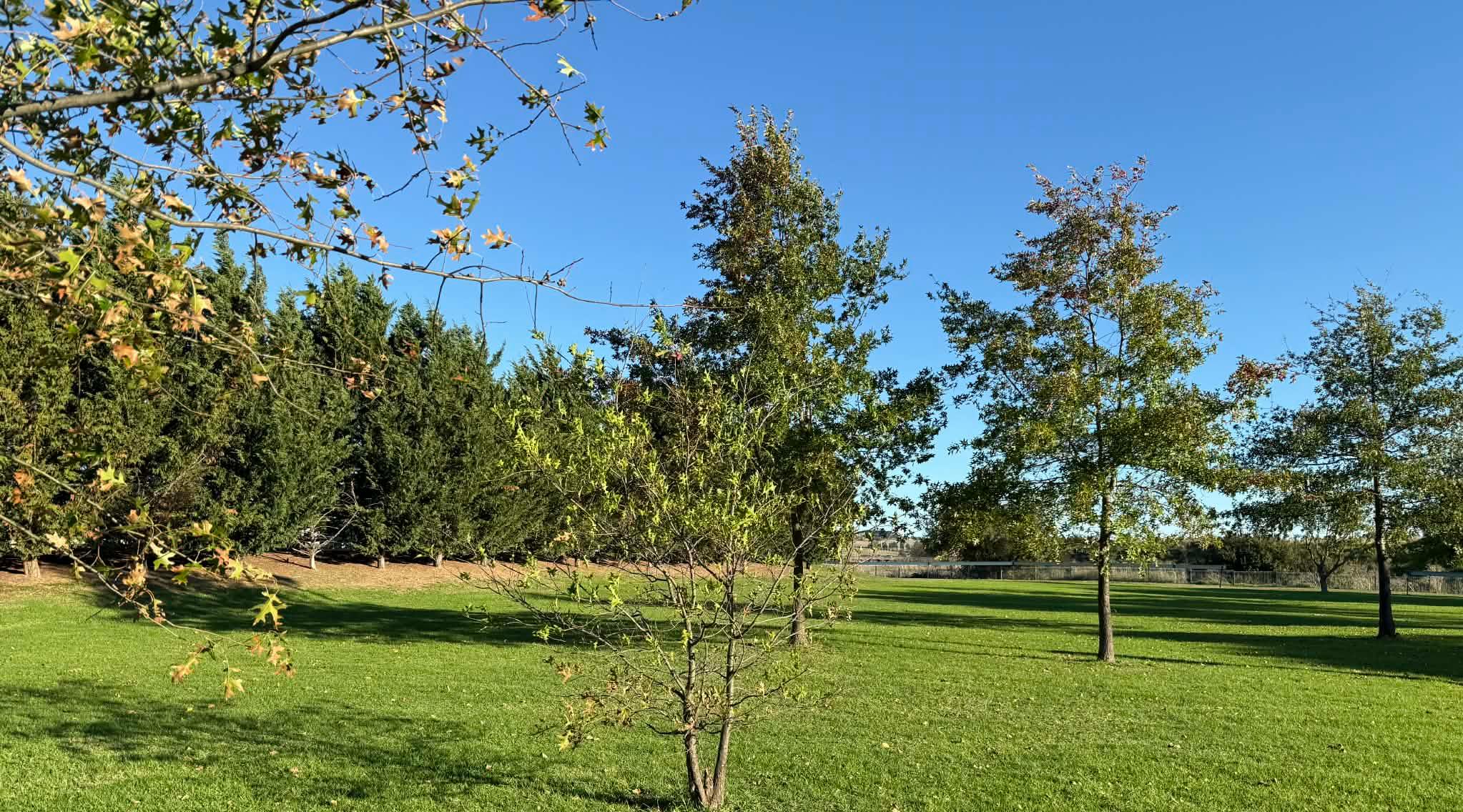 Cover Photo