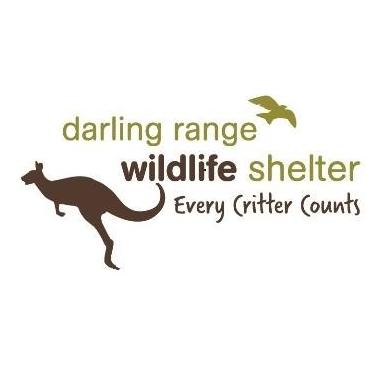 Logo Photo