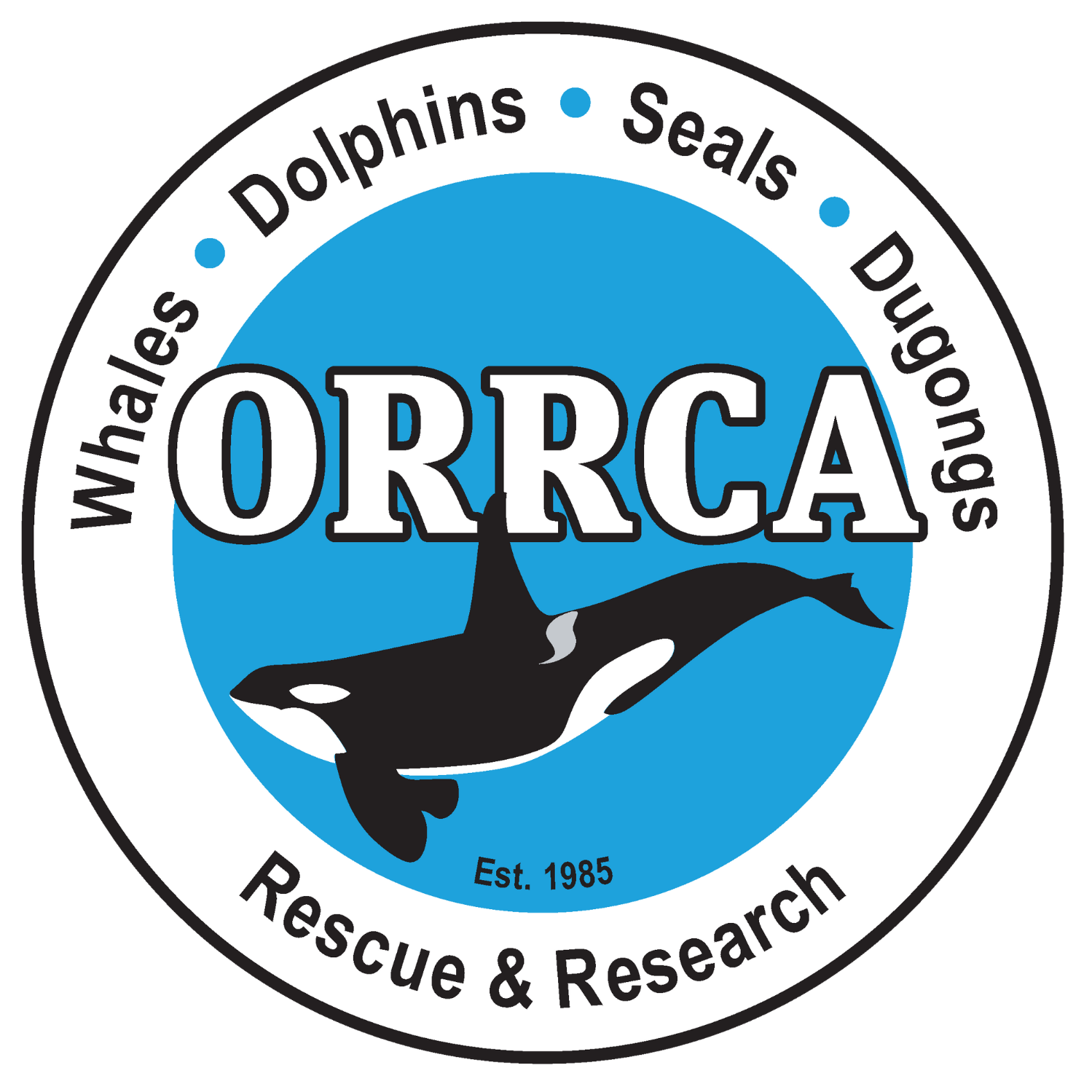 Logo Photo